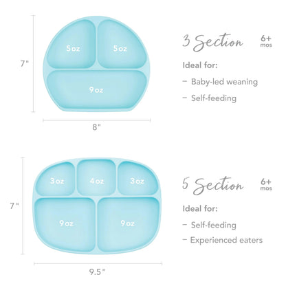 Bumkins Popular | Blue BPA Free Toddler Plates, 5 Divided Sections + Lid