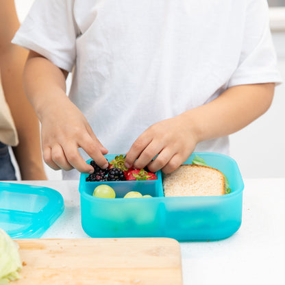 Bumkins Deals | Silicone Divided Bento Box for Food Storage, Blue Jelly